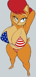 sally acorn from sonic (series) by snesti