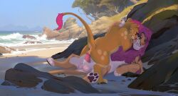 4_toes animal_genitalia anus aode_(asonix) ass balls beach countershading digital_drawing_(artwork) digital_media_(artwork) disney duo feet felid feline female female_penetrated feral feral_on_feral feral_penetrated feral_penetrating fur genitals hair hi_res hindpaw lion male male/female male_penetrating male_penetrating_female mammal pantherine pawpads paws penetration penile penile_penetration penis plant pussy quadruped seaside sex smile tail tail_tuft the_lion_king toes tree tuft tweedy utku_(asonix) vaginal_penetration vulva water