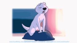 animated anthro blush cum cum_on_pillow erection fur genital_fluids letodoesart male male_only mammal masturbation mustelid otter pebble_(letodoesart) penis pillow_humping solo tapering_penis white_fur