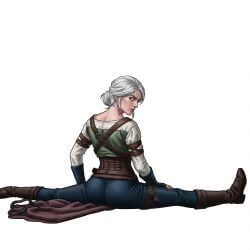 The Witcher (Series) Rule 34 Image