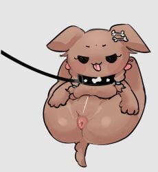 animal animal_collar animalization anus arrivedcold brown_fur canine collar female furry furry_female highres hololive hololive_gamers hololive_japan inugami_korone kedama_korone leash legs_up pussy tongue tongue_out virtual_youtuber