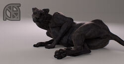 3d anthro anus ass black_fur black_nose cosmiclife feet feline female feral flat_chested fur hi_res looking_at_viewer lying mammal on_side panther paws pinup pose pussy realistic semi-anthro solo valencia whiskers