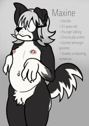 1female anthro belly_button_piercing belly_piercing black_and_white_fur black_fur border_collie breasts canid canine canus chubby chubby_female college_girl college_student domestic_dog dorky_girl female flat_chest flat_chested fluffy_pussy fluffy_tail folded_ear furry furry_female glasses glasses_on_face hip_dips humanoid_genitalia maxine_(saggeza-selvaggia) navel_piercing paws perky_breasts perky_nipples pierced_nipples pink_nipples pink_pussy pussy reference_image reference_sheet round_glasses saggeza-selvaggia shoulder_length_hair solo_female straight_hair text transmasc vagina white_belly white_hair