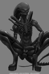 alien alien_(franchise) male male_only nihilophant nude penis xenomorph