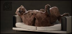 3d anthro anus anya ass bear black_nose brown_fur cosmiclife feet female feral fur lying mammal on_back open_mouth paws pinup pose pussy realistic semi-anthro smile sofa solo spread_legs spreading teeth