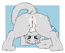 2025 absurd_res all_fours anthro anus ass ass_up bent_over butt_focus clitoris close-up digital_media_(artwork) feet female fur generation_1_pokemon genitals hi_res hindpaw humanoid_hands inviting legendary_pokemon looking_at_viewer looking_back looking_back_at_viewer looking_through looking_through_legs mew mew_(pokemon) moodytail nintendo nude paws pokemon pokemon_(species) presenting presenting_anus presenting_hindquarters presenting_pussy presenting_vulva pussy raised_tail rear_view seductive semi-anthro simple_background solo spread_legs spreading tail teasing vulva yuki_(side_b)