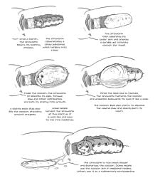 1girl biological_illustration butthole clitoral_hood cocoon cuntboy female infestation insect insectophilia insects intersex laying_down metamorphosis molting octopus6969z parasite pussy text thighs vagina vaginal_fluids vaginal_juices worm zincubis zincworm