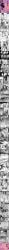 after_sex all_the_way_to_the_base arakure big_cock big_penis blowjob cum_in_pussy cum_inside dilf drunk huge_cock manga mating_press mind_break netorare original phone rape raped saliva text