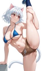 neferpitou from hunter x hunter by gilaruvia