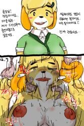 1girls animal_crossing anthro blood_from_nose bloody_nose blush breasts clothing condom cum dialogue female filled_condom forced fur hakiahki hi_res instant_loss_2koma isabelle_(animal_crossing) korean_text male nintendo nosebleed open_mouth orgasm penis rough_sex sex straight sweat tears teeth text translation_request video_games