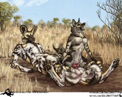 aardwolf african_wild_dog animal_genitalia anthro balls canine digitigrade female hyena knot male mammal on_top paws reverse_cowgirl_position salonkitty savanna sex straight taur