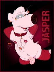 animal_genitalia anthro armwear balls canid canine clothing collar ear_piercing elbow_gloves eyeshadow family_guy genitals gloves handwear hi_res jasper_(family_guy) kneeling legwear makeup male mammal nipple_tassels open_mouth piercing pose sheath solo stockings tail tail_motion tailwag tassels the-alfie-incorporated