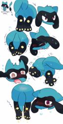 anus blush bound dripping_urine embarrassed female japanese_text nintendo omorashi open_mouth peeing pokémon_(species) pokemon pussy raised_tail red_eyes riolu shaking solo stuck_in_wall sweat tears text translation_request urine video_games wet さたん