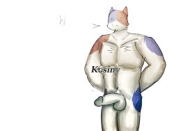 4:3 anthro barazoku calm domestic_cat epic_games felid feline felis fortnite genitals hi_res humanoid kosiny male mammal meowscles muscular muscular_male nude penis simple_background solo standing white_background white_body