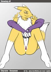 blush digimon digimon_(species) female looking_at_viewer presenting renamon spykie