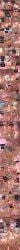 1boy big_ass big_breasts big_penis big_thighs blowjob caelus_(honkai:_star_rail) cum cum_in_mouth cum_in_pussy cum_inside cum_on_body dialogue evanescia_(honkai:_star_rail) grey_hair honkai:_star_rail hoyoverse naked naked_female naked_male pink_hair silver_wolf_(honkai:_star_rail) silver_wolf_(lv.999)_(honkai:_star_rail) sparxie_(honkai:_star_rail) straight straight_hair straight_sex streamer streaming white_hair yao_guang_(honkai:_star_rail) zergbrush