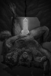 2025 3_heads 4_toes animal_genitalia animal_penis anthro armpit_hair bodily_fluids body_hair canid canid_demon canine canine_genitalia canine_penis cave cerberus demon detailed detailed_background detailed_fur digital_media_(artwork) digital_painting_(artwork) digitigrade erection european_mythology expressive fangs feet front_view full-length_portrait fur genitals glowing glowing_genitalia glowing_penis greek_mythology greyscale guide_lines hellhound hi_res holding_knot holding_penis knot knot_root legs_above_head looking_at_viewer lying male mammal monochrome multi_head muscular muscular_anthro muscular_male mythological_canine mythological_creature mythology neck_tuft on_back open_mouth painting_(artwork) paws penis portrait reaching_towards_viewer reinhardt-art saliva saliva_string shaded shadow snarling soft_shading solo stone_floor stone_throne teeth toes tongue tongue_out tuft upside_down vein veiny_penis whiskers