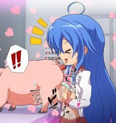 >_< blue_hair blush bra bra_lift breasts closed_eyes clothing cum ejaculation female konata_izumi large_breasts lucky_star mole mole_under_eye nipples paizuri pig school_uniform shirt_lift skirt striped striped_bra suid suina sus_(pig) swine underwear uwa~a zoophilia