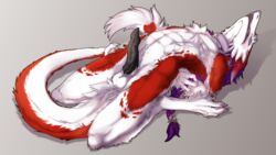 16:9 anthro azaly balls blush braided_hair erection fur gamblefur girly hair hi_res long_hair long_tail male penis purple_hair red_fur sergal simple_background solo white_fur