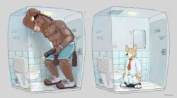 2026 animal_genitalia animal_penis annoyed anthro anthro_peeing balls bathroom biped black_balls black_penis bodily_fluids bottomwear bottomwear_down brown_body brown_fur canid canine canine_genitalia canine_penis canis clothed clothing digital_media_(artwork) domestic_dog duo equid equine equine_genitalia equine_penis eyes_closed flugeldog fur genital_fluids genitals graffiti graffiti_on_wall half-erect herding_dog hi_res horse jewelry kilroy_was_here male male_anthro male_peeing mammal multicolored_body multicolored_fur necklace nipples orange_body orange_fur pants pants_down partially_clothed pastoral_dog peeing peeing_into_toilet penis penis_tip public_restroom red_penis restroom_stall saggy_balls sheath tired toilet topless topless_anthro topless_male two_tone_body two_tone_fur underwear underwear_down urine urine_stream watersports welsh_corgi white_balls white_body white_fur white_sheath