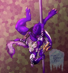 anthro big_tail dancing dragon eastern_dragon erection fulgerion fur genitals grey_body grey_fur hi_res male markings mythological_creature mythological_scalie mythology penis pole pole_dancing purple_body purple_scales scales scalie solo striped_markings stripes tail terry_frost_(artist) white_body white_fur