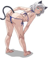 1girls animal_ears arobiro ass back bikini bitch cameltoe crotch exhibitionism exhibitionist presenting_ass sanya_v._litvyak short_hair slutty_female strike_witches swimsuit tail world_witches_series