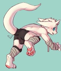 4_fingers 4_toes anthro anus bandage blue_eyes blush bulge clothing cydonia_xia dragon fur furred_dragon heart looking_back male male_only pawpads perineum simple_background solo tight_clothing toes white_fur