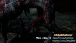 bestiality_impregnation blowjob canine tagme video