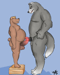 angry anthro balls bear big_penis canine cosmic51moon difference erection fur humanoid male mammal musclechub musclegut penis slightly_chubby smile standing thick_penis wolf yaoi