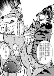 2020 abs anthro anthro_on_anthro balls beard biceps big_dom_small_sub bodily_fluids canid canine canis chinese_text comic dialogue duo eurobeat facial_hair felid full_nelson fur genital_fluids genitals greyscale humanoid_genitalia humanoid_hands humanoid_penis larger_male law_(sdorica_sunset) male male/male mammal monochrome nude pang pantherine pecs penis prayer_beads precum pubes sdorica sdorica_sunset size_difference smaller_male striped_body striped_fur stripes text tiger translation_request wolf