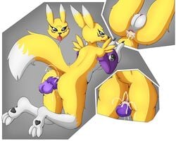 anal anal_sex crimellgrim cum cum_in_ass cum_inside digimon disembodied_penis female female_penetrated knot male male_penetrating penetration penis renamon straight