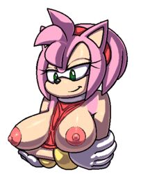 amy_rose animated bouncing_breasts breasts breasts_out female furry gif r-fenrir sega sonic_(series)