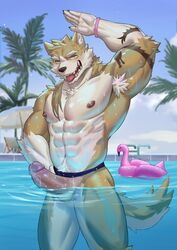 2018 abs anthro biceps canine chest_tuft frde fur hair kemono male male_only mammal muscular muscular_male nipples pecs penis tuft