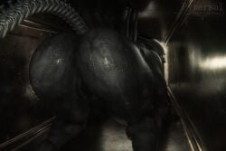 1girl 3d 3d_(artwork) alien alien_(franchise) alien_girl alien_humanoid anthro anus ass ass_focus butt butt_crack butt_focus crawling felix_animations female female_only monster monster_girl muscular muscular_female musk musky_butt pov pussy pytersol sweat sweatdrop sweating sweaty sweaty_ass sweaty_body sweaty_butt tail thicc thicc_thighs vent ventilation ventilation_shaft xenomorph