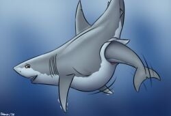 2026 animal_genitalia aquatic belly big_belly cetacean cloaca cloacal cloacal_vore discovery_channel dolorcin dolphin dolphin_tail dorsal_fin duo female female_pred feral feral_pred feral_prey feral_unbirthing_feral fin fish genitals gills great_white_shark grey_arms grey_body grey_fins head_first mackerel_shark mammal shark shark_teeth shark_week toothed_whale unbirthing underwater vaginal vaginal_tail_gulp vore water watermark white_belly white_shark yellow_eyes