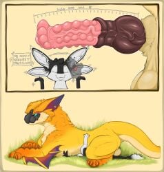 2026 2_panel_comic 3_fingers 3_toes 4_ears 4_fingers 4_toes absurd_res ambiguous_gender ambiguous_penetration animal_genitalia animal_penis anthro anthro_on_feral avali avian awoope balls beak bestiality big_balls big_ears big_penis big_tail biped bird black_body black_claws black_feathers black_finger_claws black_fur black_genitals black_hair black_sclera black_toe_claws blue_eyes blush blush_lines bodily_fluids border bragging brown_knot canine_genitalia canine_penis capcom chest_tuft claws colored comic comparing comparing_penis comparison countershading crush cutaway darkke_(darkkedusk) dialogue digital_drawing_(artwork) digital_media_(artwork) digitigrade dominant dominant_feral dragon duo english_text equine_genitalia equine_penis erection exclamation_point eyes_closed feathered_wings feathers feet feral feral_on_top finger_claws fingers flared_penis fluffy fluffy_sheath flying_wyvern from_front_position fur furred_scalie fyr_(fenrir784) genital_focus genital_shot genitals grass hair hi_res huge_balls huge_filesize huge_penis hybrid_genitalia hybrid_penis hyper hyper_genitalia hyper_penis instant_loss_2koma internal interspecies it'll_never_fit jewelry knot knotted_equine_penis knotted_penis larger_dom larger_feral larger_male looking_at_another lying lying_on_another male male/ambiguous male/male male_feral male_on_top maleherm_(lore) measuring measuring_penis medial_ring membrane_(anatomy) membranous_wings monster_hunter multi_ear multicolored_body multicolored_fur multiple_scenes mythological_creature mythological_scalie mythology nargacuga nude nude_anthro nude_male on_back on_bottom on_front on_ground on_top open_mouth orange_body orange_fur orange_wings pawpads paws penetration penile penis penis_focus penis_shot piercing pink_genitals pink_pawpads pink_penis pinned pinned_to_ground plant presenting quadruped questionable_consent saggy_balls scalie scutes shaded sheath side_view simple_background sitting sitting_on_another size_difference smaller_anthro smaller_male smile smothering smug speech_bubble spread_legs spreading submissive surprised sweat sweatdrop tail tan_body teeth text thick_penis thick_tail toe_claws toes tuft tufted_fur vein veiny_penis white_body white_feathers white_fur winged_arms wings yellow_body yellow_fur