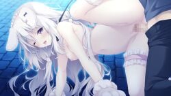 1boy 1girl amairo_chocolata animal_ears ass blush breasts censored game_asset hair_ornament long_hair looking_at_viewer misono_ichika nude open_mouth penis purple_eyes pussy saliva sex shiratama_(shiratamaco) spread_legs tail thigh_strap thighhighs tongue tongue_out white_hair
