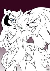 balls gay knuckles_the_echidna male_only mighty_the_armadillo penis sonic_(series) sonic_the_hedgehog sonknux threesome tysone yaoi