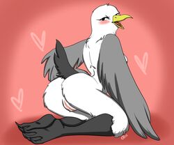 2015 3_toes anthro arched_back ass avian beak bedroom_eyes biped bird bird_feet black-legged_kittiwake black_eyes black_feathers black_tail blush breasts eyelashes feathered_wings feathers featureless_breasts female full-length_portrait grey_feathers grey_wings half-closed_eyes hand_on_hip heart kittiwake kneeling looking_back multicolored_feathers non-mammal_breasts nude open_beak open_mouth open_smile pink_background pink_pussy pink_tongue portrait presenting presenting_hindquarters pussy rear_view rileyserenity seagull seductive side_boob simple_background small_waist smile solo tail_feathers toes tongue two_tone_feathers webbed_feet white_feathers winged_arms wings yellow_beak