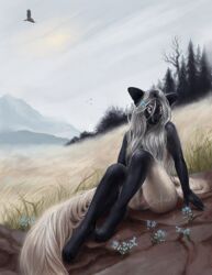 anthro avian bird black_fur day feline feline female field flower fur hair long_hair looking_at_viewer mammal mountain nude outside pink_eyes plant pussy safiru siamese sitting sky solo stone tan_fur tree