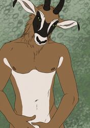 2012 antelope anthro barely_visible_genitalia barely_visible_penis bedroom_eyes biped black_fur black_horn black_markings black_nose brown_fur brown_nipples collarbone covering covering_crotch covering_self eyebrows facial_markings flaccid front_view fur green_eyes grey_background half-closed_eyes half-length_portrait hands_on_crotch head_tilt horn lighting looking_at_viewer male male_only mammal markings multicolored_fur muzzle_(marking) navel nipples noet nude pecs penis penis_base portrait roan_antelope seductive shadow simple_background snout solo standing white_fur white_markings white_penis