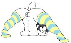 2026 2d :3 aik0s anthro black_hair breasts breasts_pressed_against_floor female female_only furry furry_female furry_only hair jack-o_pose looking_back naked naked_female nude nude_female plain_background presenting_hindquarters pussy socks solo striped_thighhighs tail temmie_(undertale) thigh_socks thighhighs undertale undertale_(series) vagina white_background white_body white_fur