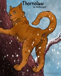 anus ass balls claws climbing colored exposed feline feral male male_only mammal paws raised_tail shaded simple_background thathornycat thornclaw warriors_(cats)