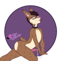 2018 anthro collar cum digital_media_(artwork) erection feline fur furry hair leaking looking_at_viewer lynx male mammal penis rynuniverse simple_background smile solo suggestive tongue tongue_out wakeful