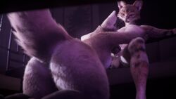 0skillanimation 16:9 3d_(artwork) anthro anthro_on_anthro balls big_butt blender_(artwork) blender_cycles_(artwork) breasts butt deep_throat digital_media_(artwork) domestic_cat duo erection felid feline felis fellatio female fur genitals grabbing_head gulonine hand_on_head hi_res holding_another's_head holding_head interspecies kneeling male male/female male_penetrating mammal marten mustelid musteline nude open_mouth oral oral_penetration penetration penile penis penis_in_mouth randy_(hakya11) rue_(hakya11) sex sitting tail thick_thighs widescreen