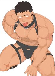 black_hair blush dark_hair gay male male_only muscle muscles muscular muscular_arms muscular_male muscular_thighs naop naop_(anything) nipples partially_clothed saliva short_hair thick_thighs white_background yaoi