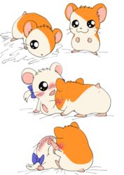 2017 anus bijou_(hamtaro) blush bow_tie duo female feral hamster hamtaro hamtaro_(series) male mammal manmosu_marimo rodent simple_background straight white_background