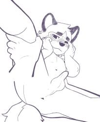 cub furry gay minishadefox tagme