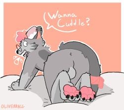 2025 anthro anus ass backsack balls bed bow_ribbon claws domestic_cat ear_piercing egyptian_mau eyewear felid feline felis fur furniture genitals glasses grey_body grey_fur hair hi_res hybrid looking_at_viewer looking_back male mammal oliverracc on_bed pawpads paws piercing pink_hair pink_pawpads presenting presenting_anus presenting_hindquarters question roka_(rokapop) russian_blue solo wearing_glasses