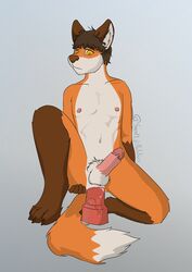 anal anal_masturbation anal_sex anthro anus balls brown_hair canine dildo dildo_sitting fox hair humanoid_penis looking_at_viewer lube male mammal masturbation nude paws penetration penis precum pubes red_fox sex_toy simple_background solo steven_(villalobossand1) toying_self villalobossand1